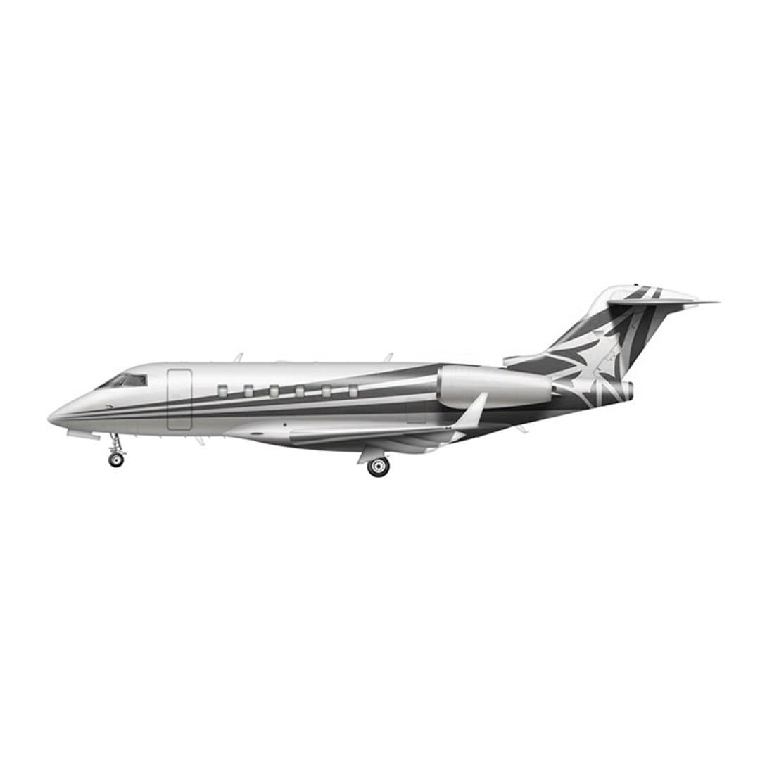 Bombardier Challenger 300 aircraft