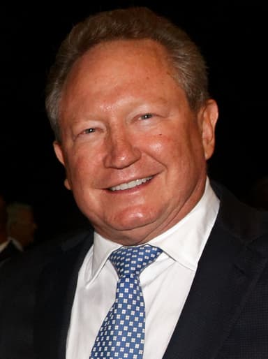 Andrew Forrest portrait