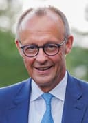 Friedrich Merz / German Government Flight portrait