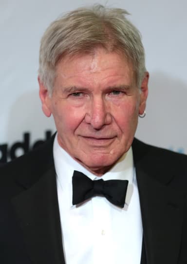Harrison Ford portrait
