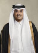 Qatar Amiri Flight — Emir Tamim portrait