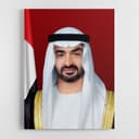 Sheikh Mohamed bin Zayed Al Nahyan portrait