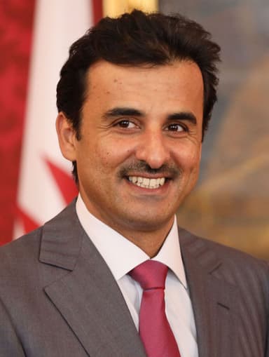 Emir Tamim bin Hamad Al Thani portrait