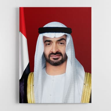 Sheikh Mohamed bin Zayed Al Nahyan portrait