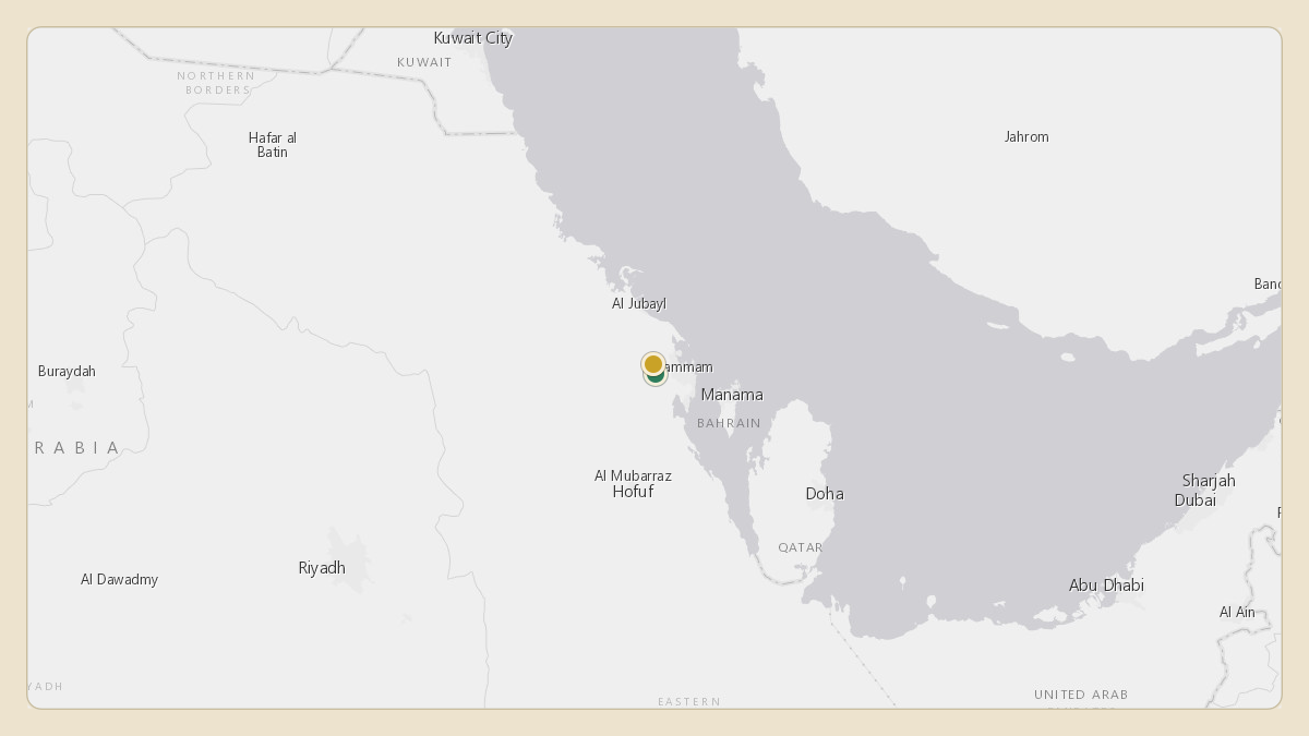 Flight path for Saudi Aramco's N801XA from OEDF — King Fahd International Airport to OEDF — King Fahd International Airport