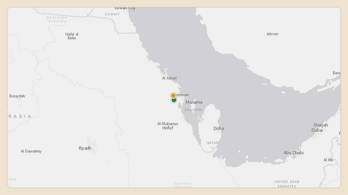 Flight path for Saudi Aramco's N801XA from OEDF — King Fahd International Airport to OEDF — King Fahd International Airport