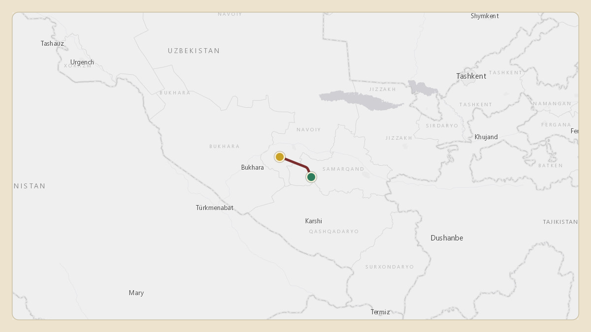 Flight path for Sheikh Mohammed bin Rashid Al Maktoum's A6-GGP from 39.60°, 65.76° to UZSA — Navoi International Airport