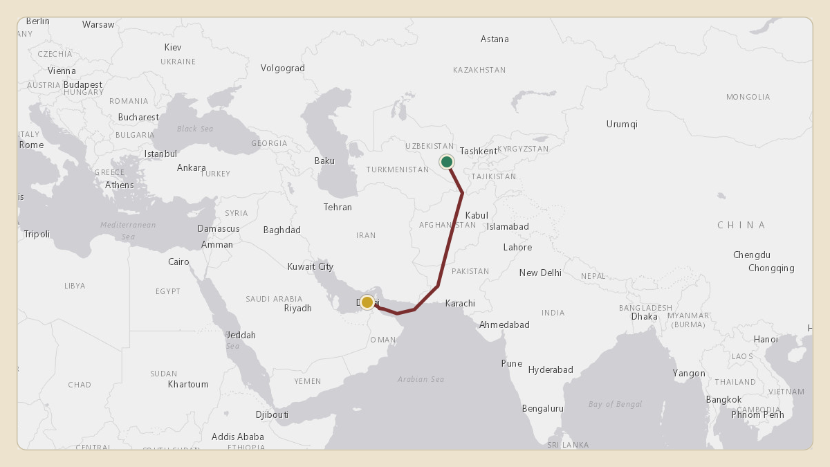 Flight path for Sheikh Mohammed bin Rashid Al Maktoum's A6-GGP from UZSA — Navoi International Airport to OMDB — Dubai International Airport