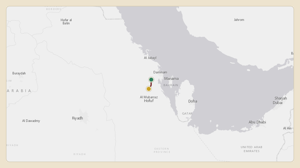 Flight path for Saudi Aramco's N801XA from OEDF — King Fahd International Airport to 25.78°, 49.61°