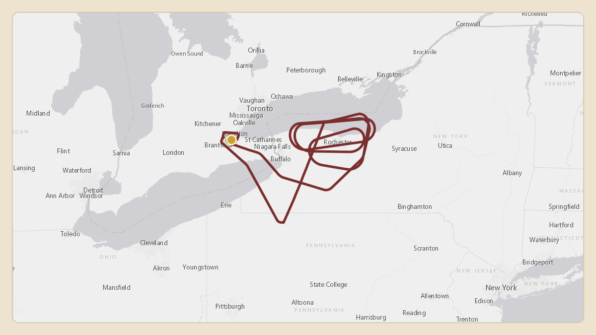 Flight path for Robert Kraft's N225NE from CYHM — John C. Munro Hamilton International Airport to CYHM — John C. Munro Hamilton International Airport