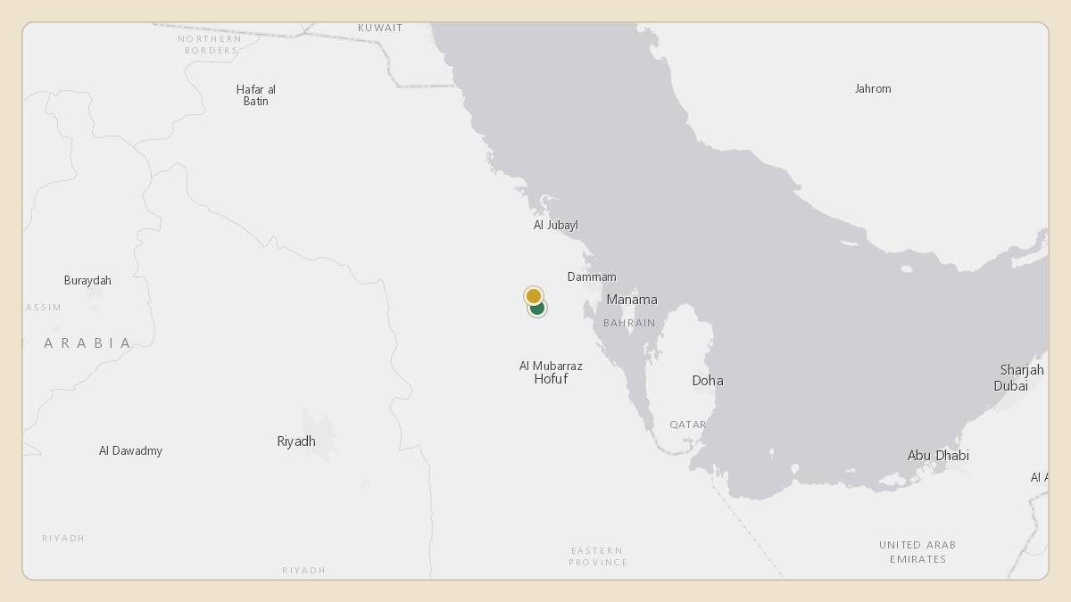 Flight path for Saudi Aramco's N801XA from OEDF — King Fahd International Airport to 26.29°, 49.37°