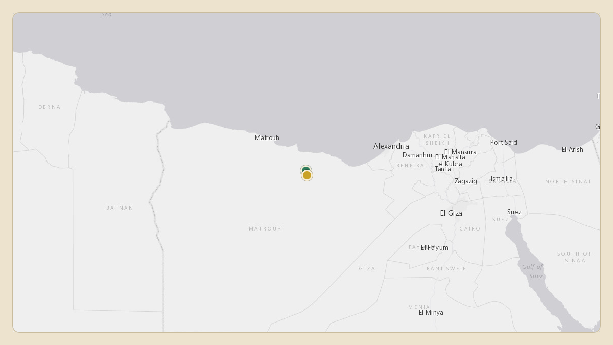 Flight path for Aliko Dangote's N104DA from 31.48°, 27.79° to HEAL — El Alamein International Airport