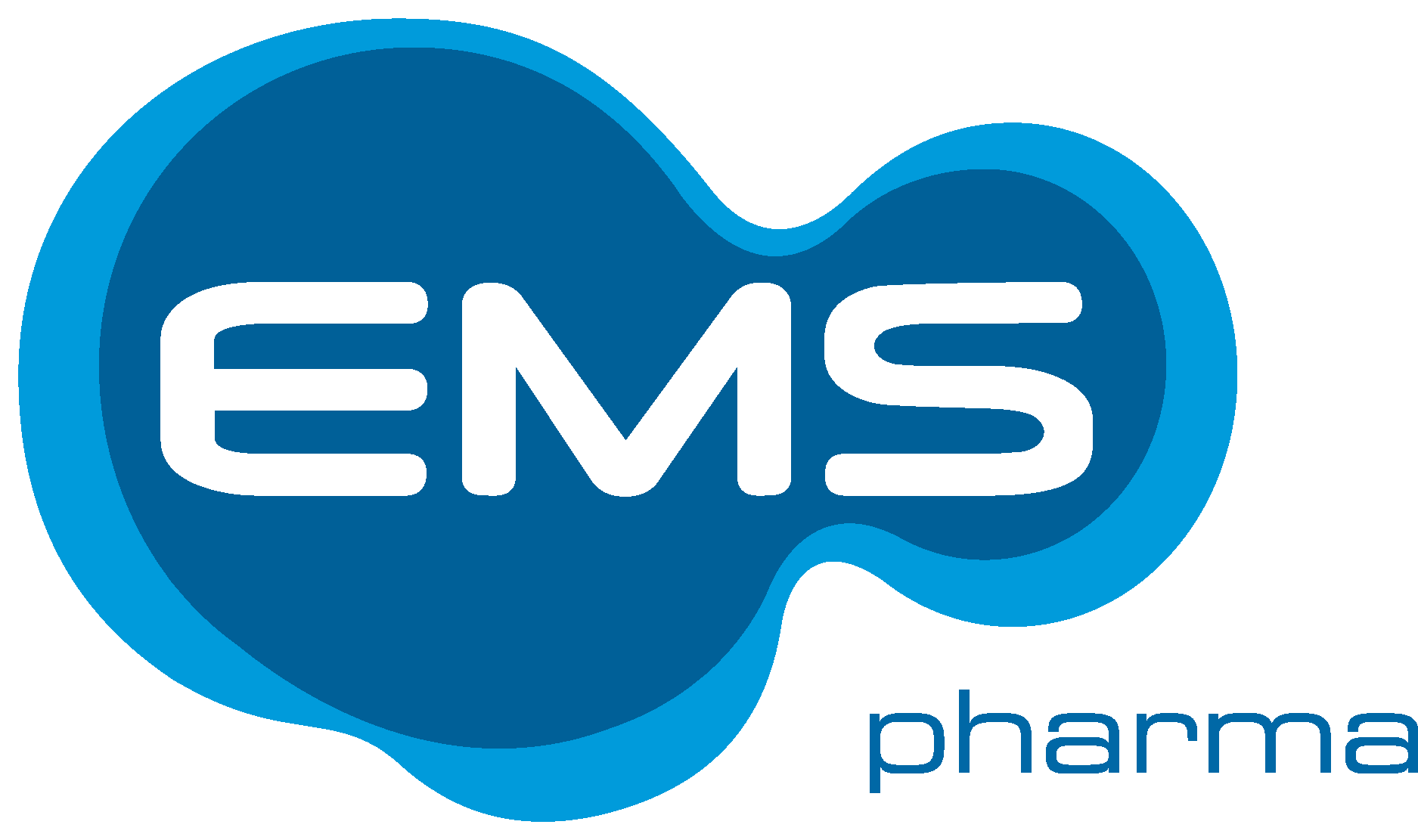 EMS corporate logo